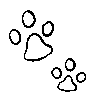 łapy